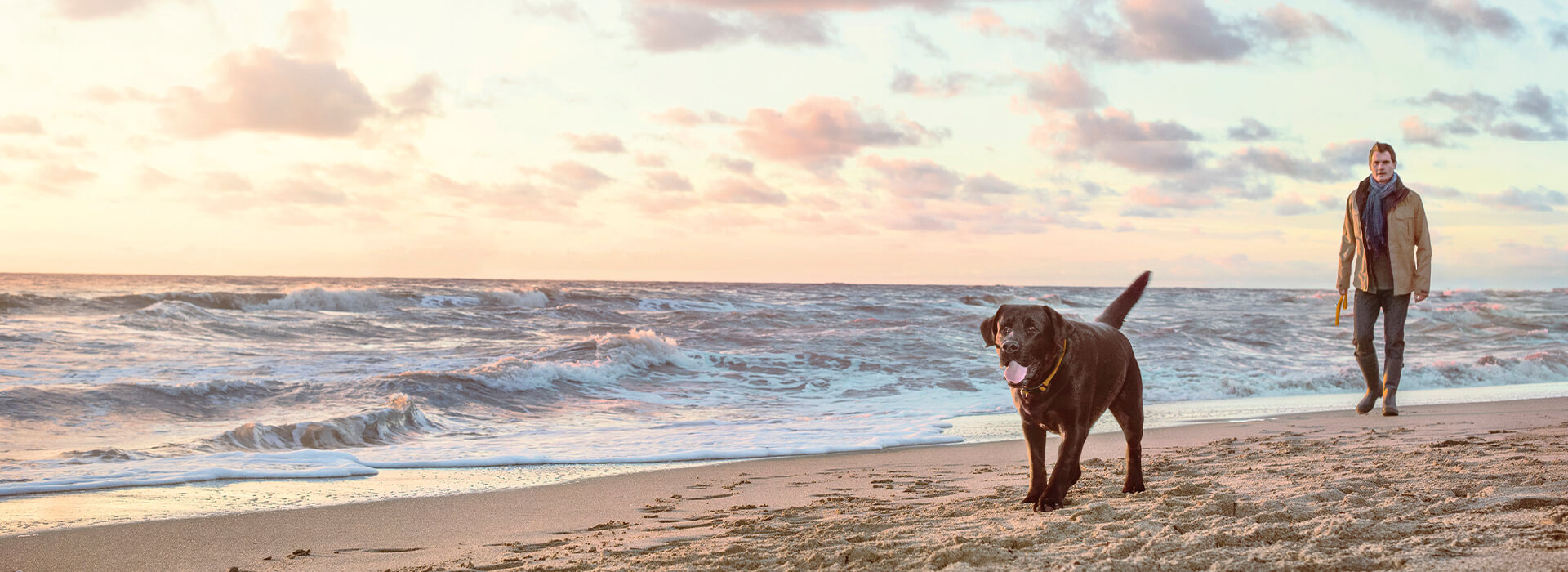 Schwarzer Hund und Mann gehen am Strand spazieren