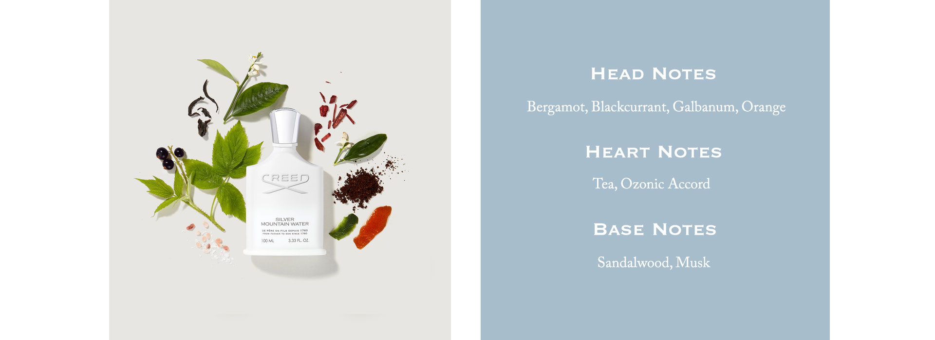 Head Notes: Bergamot, Blackcurrant, Galbanum, Orange. Heart Notes: Tea, Ozonic Accord. Base Notes: Sandalwood, Musk.