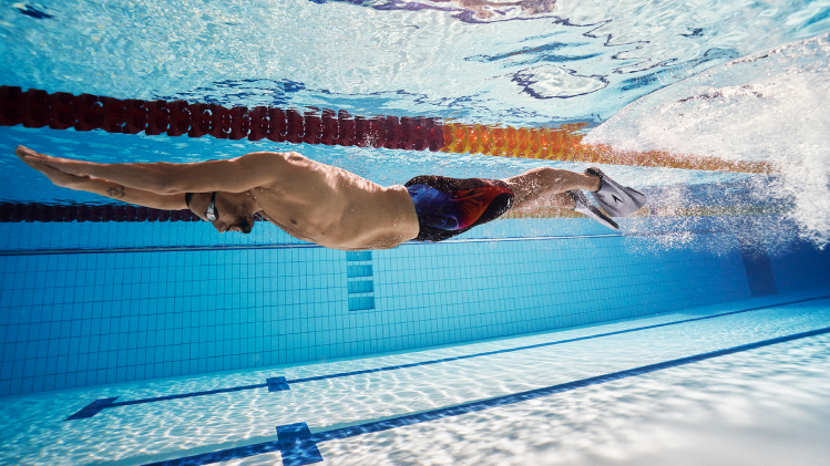 Découvrir Les Palmes Fitness