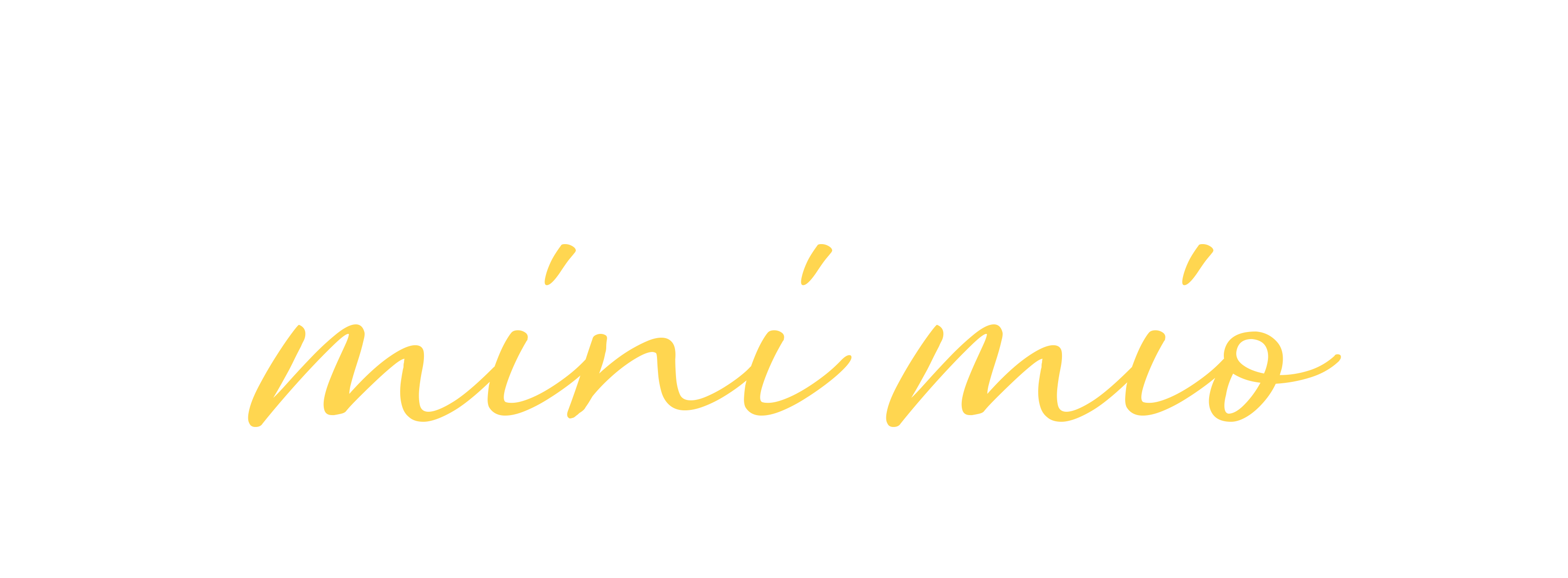 Mini Mio