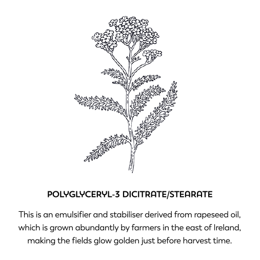 Polyglyceryl-3 dicitrate/stearate. This is an emulsifier and stabiliser derived from rapeseed oil, which is grown abundantly by farmers in the east of Ireland, making the fields glow golden just before harvest time.