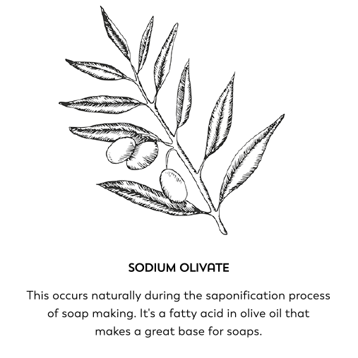Sodium olivate. This occurs naturally during the saponification process of soap making. It's a fatty acid in olive oil that makes a great base for soaps.
