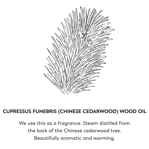 Cupressus funebris (Chinese cedarwood) wood oil. We use this as a fragrance. Steam distilled from the bark of the Chinese cedarwood tree. Beautifully aromatic and warming.
