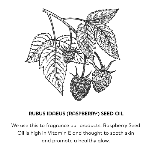 Rubus idaeus (raspberry) seed oil. We use this to fragrance our products. Raspberry Seed Oil is high in vitamin E and thought to sooth skin and promote a healthy glow.