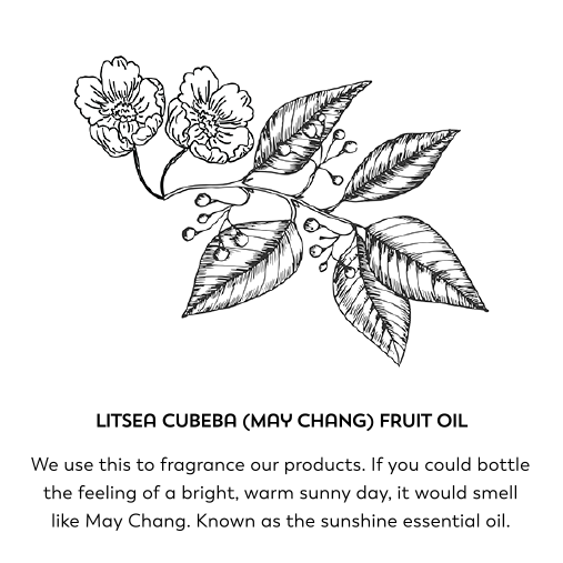 Litsea cubeba (may chang) fruit oil. We use this to fragrance our products . If you could bottle the feeling of a bright, warm sunny day, it would smell like May Chang. Known as the sunshine essential oil.