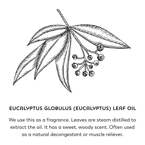 Eucalyptus globulus (eucalyptus) leaf oil. We use this as a fragrance. Leaves are steam distilled to extract the oil. It has a sweet, woody scent. Often used as a natural decongestant or muscle reliever.