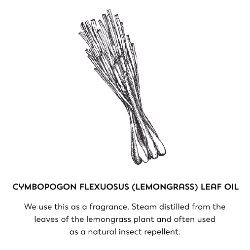 Cymbopogon flexuosus (lemongrass) leaf oil. We use this as a fragrance. Steam distilled from the leaves of the lemongrass plant and often used as a natural insect repellent.