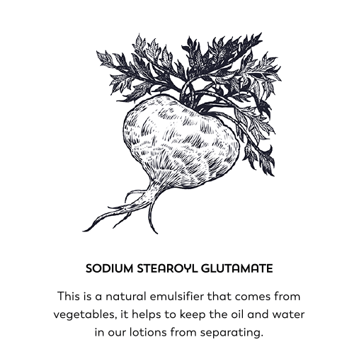 Sodium stearoyl glutamate. This is a natural emulsifier that comes from vegetables, it helps to keep the oil and water in our lotions from separating.