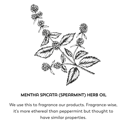 Mentha spicata (spearmint) herb oil. We use this to fragrance our products. Fragrance-wise it's more ethereal than peppermint but thought to have similar properties.