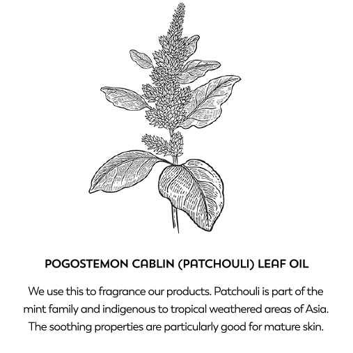 Pogostemon cablin (patchouli) leaf oil. We use this to fragrance our products. Patchouli is part of the mint family and indigenous to tropical weathered areas of Asia. The soothing properties are particularly good for mature skin.