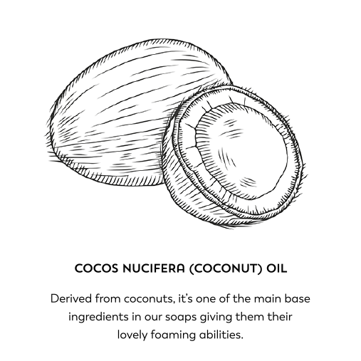 Cocos nucifera (coconut oil). Derived from coconuts, it's one of the main base ingredients in our soaps giving them their lovely foaming abilities.