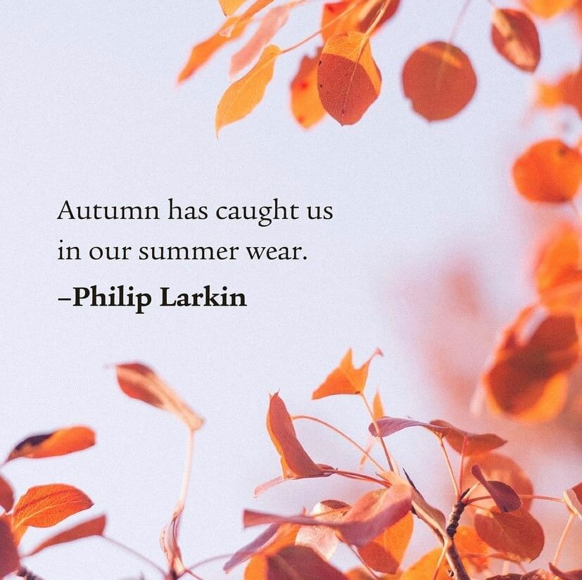 Autumn has caught us in our summer wear - Philip Larkin. Orange leaves. Visit our Instagram.