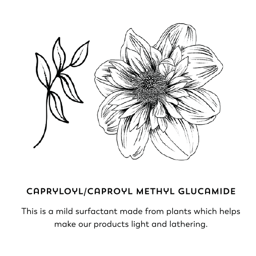 Capryloyl/caproyl methyl glucamide. This is a mild surfactant made from plants which helps make our products light and lathering.