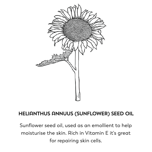 Helianthus annuus (sunflower) seed oil. Sunflower seed oil, used as an emollient to help moisturise the skin. Rich in Vitamin E it's great for repairing skin cells.