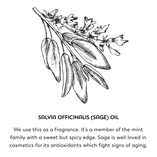 Salvia officinalis (sage) oil. We use this as a fragrance. It's a member of the mint family with a sweet but spicy edge. Sage is well loved in cosmetics for its antioxidants which fight signs of aging.