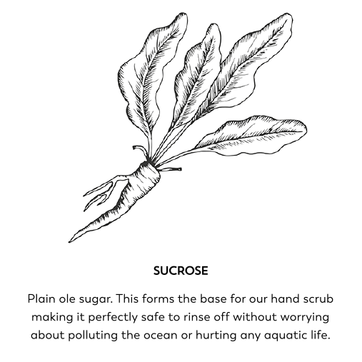 Sucrose. Plain ole sugar. This forms the base for our hand scrub making it perfectly safe to rinse off without worrying about polluting the ocean or hurting any aquatic life.