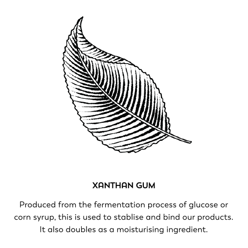 Xantham gum. Produced from the fermentation process of glucose or corn syrup, this is used to stabilise and bind our products. It also doubles as a moisturising ingredient.