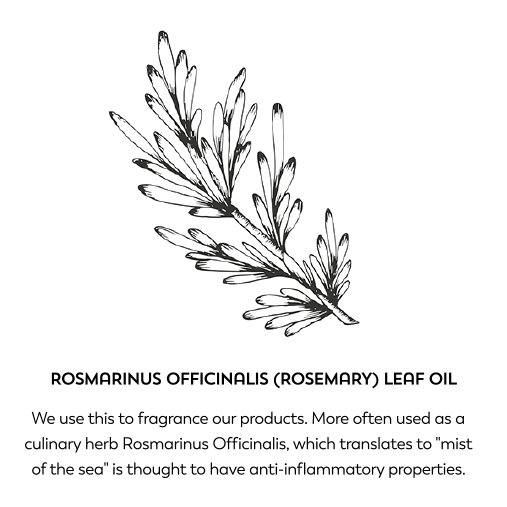 Rosmarinus officinalis (rosemary) leaf oil. We use this to fragrance our products. More often used as a culinary herb Rosmarinus Officinalis, which translates to