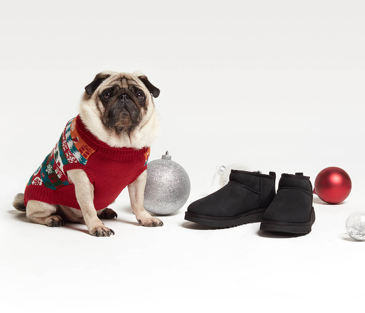 THE BOOT LOVER