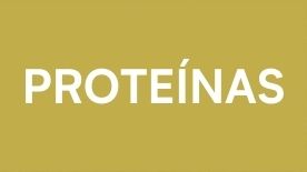 Proteínas