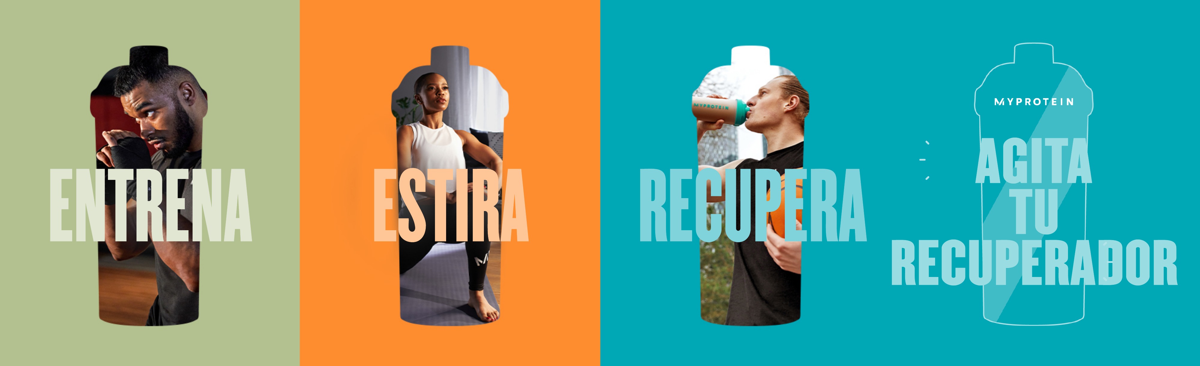 Protein Powder For Beginners