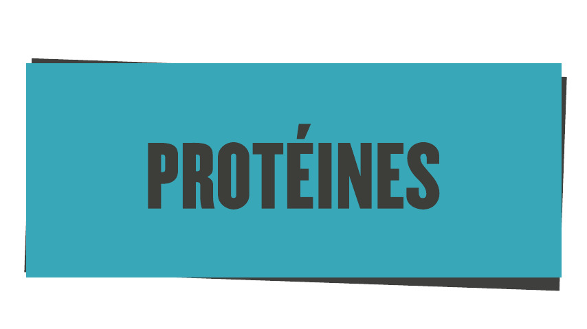 Protéine