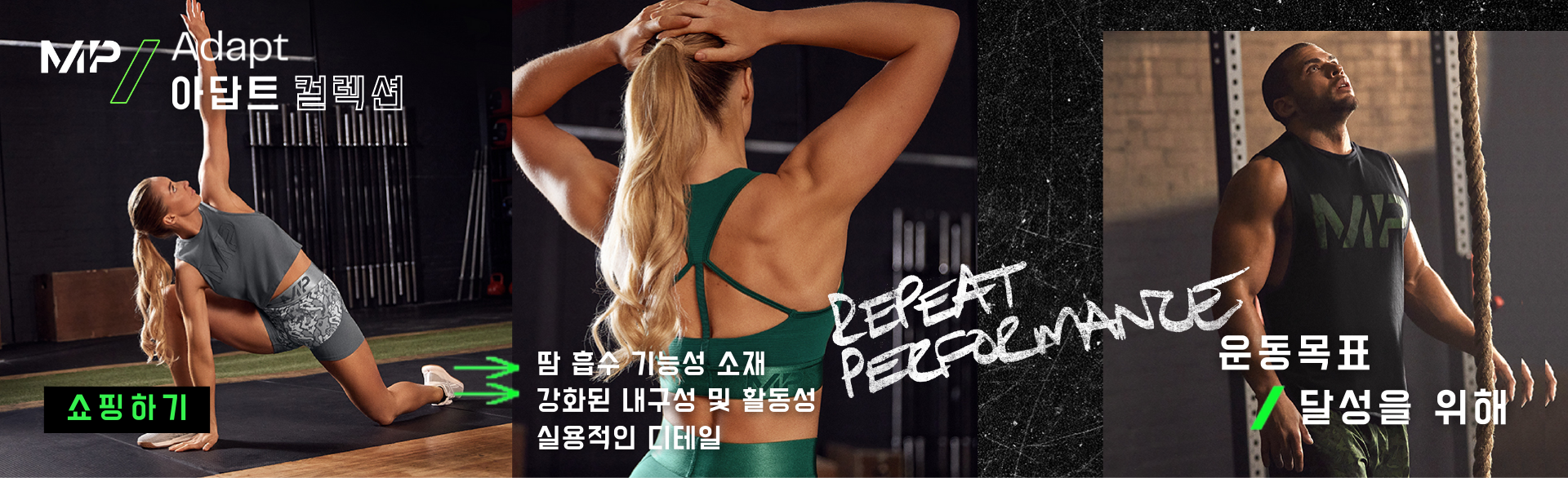 Adapt 아답트 컬렉션