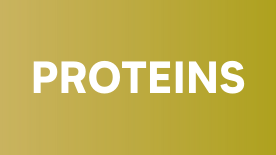 Protein