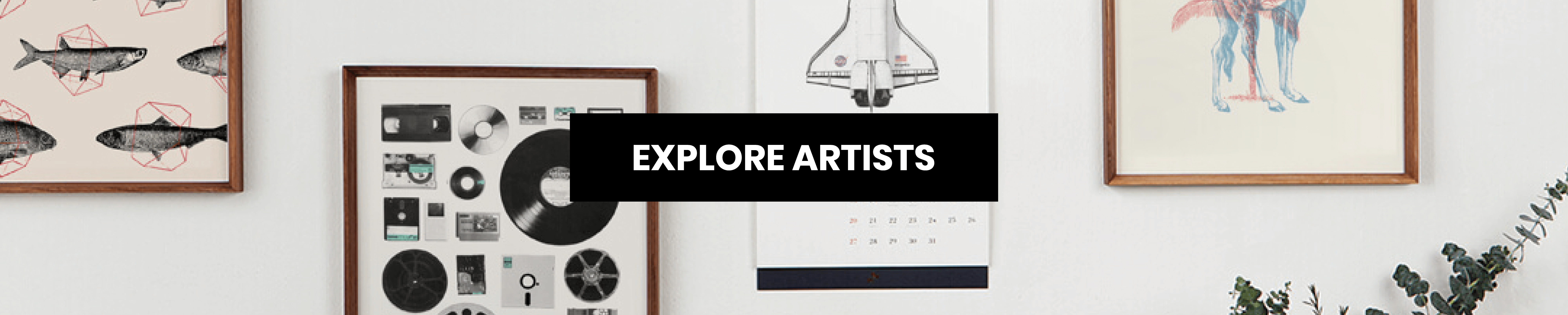 Explore Artists on IWOOT