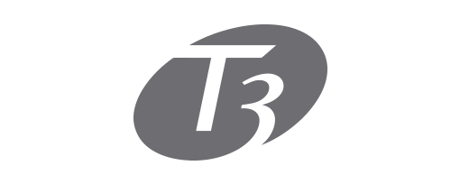T3
