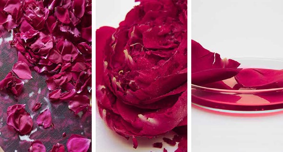 Introducing NEW Rose Hand Cream Handpicked Limited Edition | Facebook Introducing NEW Rose Hand Cream Handpicked Limited Edition | Facebook