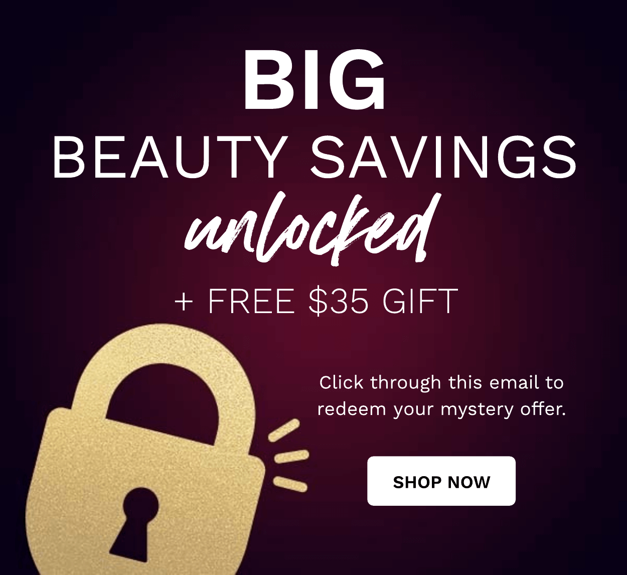 MYSTERY DISCOUNT