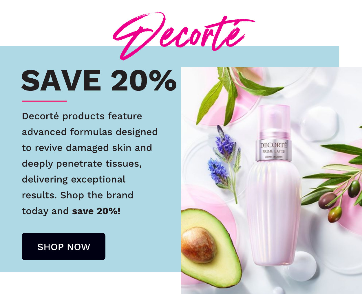 DECORTE FREE GIFT