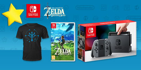 Nintendo Switch Hyrule Hero Pack